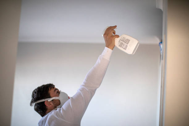 Best Localized Mold Remediation (e.g., coastal areas, humid climates) in Clear Lake, IA