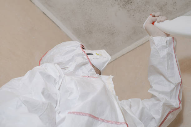 Professional Mold Remediation in Clear Lake, IA